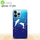iPhone13 Pro iPhone13Pro wʃP[X Jo[ XehOX CJ XehOX nk-i13p-sg55