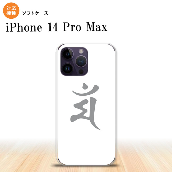 iPhone14 ProMax iPhone14 Pro Max X}zP[X wʃP[X\tgP[X  }  2022N 9 nk-i14pm-tp577