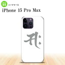 iPhone15 Pro Max iPhone15 Pro Max X}zP[X wʃP[X n[hP[X  TN  2023N 9 nk-i15pm-581