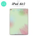 y[ z iPad Air2 P[X ^ubgP[X ACpbh GA[2 Jo[ GA[ 2 iPad Air 2 X}zP[X Jo[ ACpbh GA[ 2 ڂ͗l  nk-ipadair2-1591y[ւőz