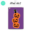 y[ z iPad Air2 P[X ^ubgP[X ACpbh GA[2 Jo[ GA[ 2 iPad Air 2 P[X Jo[ ACpbh GA[ 2 nEB AJ{`  nk-ipadair2-406y[ւőz