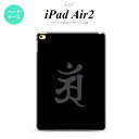 y[ z iPad Air2 P[X ^ubgP[X ACpbh GA[2 Jo[ GA[ 2 iPad Air 2 P[X Jo[ ACpbh GA[ 2 (A)  nk-ipadair2-578y[ւőz