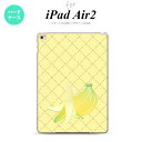 y[ z iPad Air2 P[X ^ubgP[X ACpbh GA[2 Jo[ GA[ 2 iPad Air 2 P[X Jo[ ACpbh GA[ 2 oii nk-ipadair2-656y[ւőz