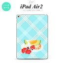 y[ z iPad Air2 P[X ^ubgP[X ACpbh GA[2 Jo[ GA[ 2 iPad Air 2 P[X Jo[ ACpbh GA[ 2 t[cJNe nk-ipadair2-657y[ւőz