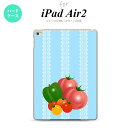 y[ z iPad Air2 P[X ^ubgP[X ACpbh GA[2 Jo[ GA[ 2 iPad Air 2 P[X Jo[ ACpbh GA[ 2 g}g nk-ipadair2-666y[ւőz