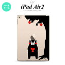 y[ z iPad Air2 ܃ P[X ^ubgP[X ACpbh GA[2 킢Jo[ ACpbh GA[ 2 ܃ƃSA nk-ipadair2-km01