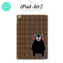 y[ z iPad Air2 ܃ P[X ^ubgP[X ACpbh GA[2 킢Jo[ ACpbh GA[ 2 `FbNuE nk-ipadair2-km14