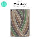 y[ z iPad Air2 P[X ^ubgP[X ACpbh GA[2 iPad Air 2 X}zP[X Jo[ ACpbh GA[ 2  uE XehOX  nk-ipadair2-sg18