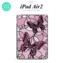 y[ z iPad Air2 P[X ^ubgP[X ACpbh GA[2 iPad Air 2 X}zP[X Jo[ ACpbh GA[ 2  sN XehOX  nk-ipadair2-sg30