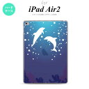 y[ z iPad Air2 P[X ^ubgP[X ACpbh GA[2 iPad Air 2 X}zP[X Jo[ ACpbh GA[ 2 CJB XehOX  nk-ipadair2-sg55