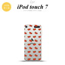 iPod touch 第7世代 ケース 第6世代 ソフトケース 苺 イチゴ 小 赤 nk-ipod7-tp045