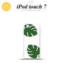 iPod touch 第7世代 ケース 第6世代 ソフトケース モンステラ 白 緑 nk-ipod7-tp453