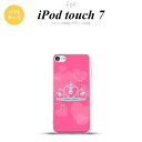 iPod touch 7 P[X 6 \tgP[X NE sN nk-ipod7-tp601