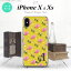 iPhoneXۡڥޥۥ/ޥۥСۡڥեXiPhoneX ޥۥ  եX ˥ Х (A) nk-ipx-242iniڥ᡼̵