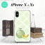 iPhoneXۡڥޥۥ/ޥۥСۡڥեXiPhoneX ޥۥ С եX  nk-ipx-658ڥ᡼̵