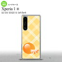 SO-51B SOG03 Xperia 1 III P[X n[hP[X t[c IW IW 2021 7 wʃJo[ nk-xp13-652