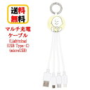 ピーナッツ スヌーピー マルチ 充電ケーブル SNG-725C チャーリー・ブラウン iPhone アイフォン Android アンドロイド 3in1 マルチ充電ケーブル スマホ充電 タブレット充電 充電コード Lightning USB Type-C micro USB カラビナ付き usbケーブル コンパクト 送料無料