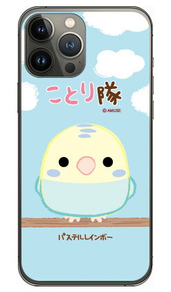 樂天商城 - ことり隊シリーズ パステルレインボー （クリア） iPhone 13 Pro Apple 受注生産 スマホケース ハードケース iphone13pro ケース iphone13pro カバー アイフォーン13プロ ケース アイフォーン13プロ カバー アイフォン 13プロ 送料無料