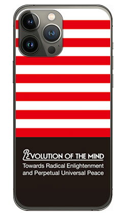 Panel border レッド×ブラック （クリア） design by ROTM iPhone 13 Pro Apple SECOND SKIN ハードケース iphone13pro ケース iphone13pro カバー アイフォーン13プロ ケース アイフォーン13プロ カバー アイフォン 13プロ 送料無料