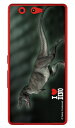 Dinosaur Design 恐竜デザインシリーズ 「ティラノサウルス_A」 （クリア） arrows Be F-05J docomo arrows be ケース arrows be カバー アローズ be ケース アローズ be カバー アローズbeケース アローズbeカバー f-05j 送料無料