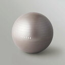 ELECOM(エレコム) バランスボール 65cm アンチバースト 筋トレ 体幹トレーニング ダイエット 専用ポンプ付き 耐荷重500kg グレー エクリアスポ...