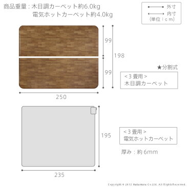 【送料無料】 ホットカーペット カバー 防水 木目調ホットカーペット・カバー 〔ウッディ〕 3畳用(250x198) +ホットカーペット本体 2点セット セット ラグ リビングマット フローリング調 クッション性 抗菌 防カビ 防汚 防水 日本製 床暖房 ペット 子供