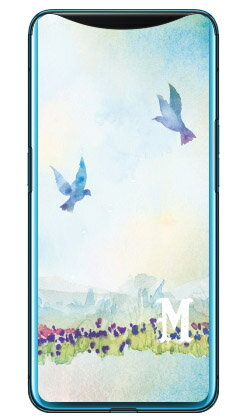 Cf LTD С ˥ M ʥꥢ Find X MVNOޥۡSIMե꡼ü Coverfull ϡɥ fin...
