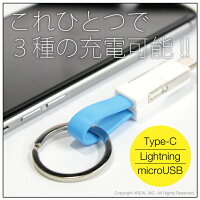 【お買い得】【2本セット】【送料無料】3in13in1キーホルダーケーブルキーホルダーケーブルLightningmicroUSBType-CライトニングマイクロUSBタイプCケーブルキーホルダーケーブルUSBケーブル一体型iQOSアイコスgloグロー充電ケーブル充電器iPhone