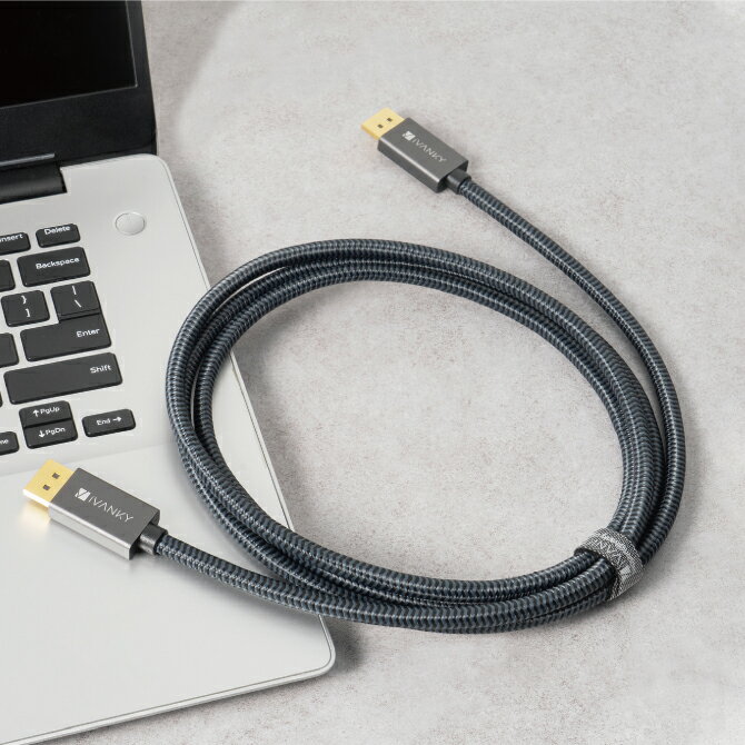 iVANKY VBC01 2m Gray & Black DisplayPort Cable ディス ...