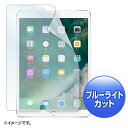 SANWA SUPPLY(サンワサプライ) Apple10.5インチiPadPro2017用ブルーライトカット保護指紋防止光沢フィルム LCD-IPAD9BC