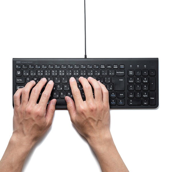 SANWA SUPPLY�ʥ���掠�ץ饤�� USB����७���ܡ��� SKB-SL31BK