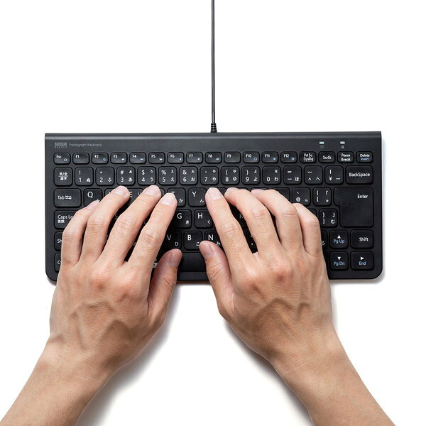 SANWA SUPPLY�ʥ���掠�ץ饤�� USB����७���ܡ��� SKB-SL32BK