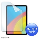 SANWA SUPPLY(サンワサプライ) 第10世代iPad10.9インチ用ブルーライトカット指紋防止光沢フィルム LCD-IPAD22BC