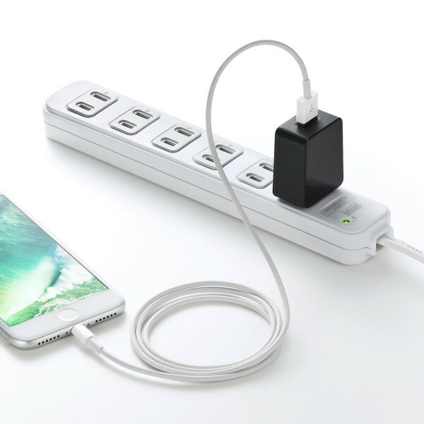 SANWA SUPPLY（サンワサプライ） USB充電器（1A・高耐久タイプ・ブラック） ACA-IP49BKN