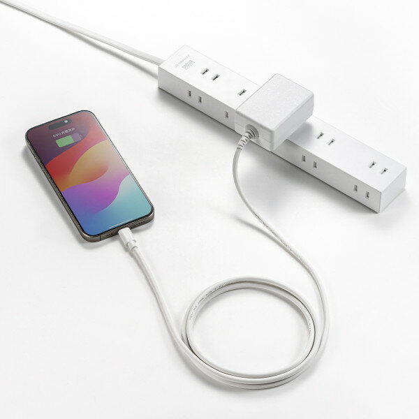 SANWA SUPPLYʥ掠ץ饤 USBPDбACŴPD20WTypeC֥η