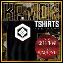 亀甲に四つ目 (きっこうによつめ)家紋Tシャツ 家紋 Tシャツ 和柄Tシャツ 和柄 Tシャツ メンズ レディース 半袖 Tシャツ 家 Tシャツ おもしろTシャツ 家紋入り Tシャツ お土産 和風 ギフト 家紋デザイン 日本 デザイン 085-cvt 085cvt 送料無料(4)