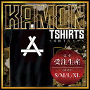 三つ組み筋違い (みつくみすじかい)家紋Tシャツ 家紋 Tシャツ 和柄Tシャツ 和柄 Tシャツ メンズ レディース 半袖 Tシャツ 家 Tシャツ おもしろTシャツ 家紋入り Tシャツ お土産 和風 ギフト 家紋デザイン 日本 デザイン 085-cvt 085cvt 送料無料