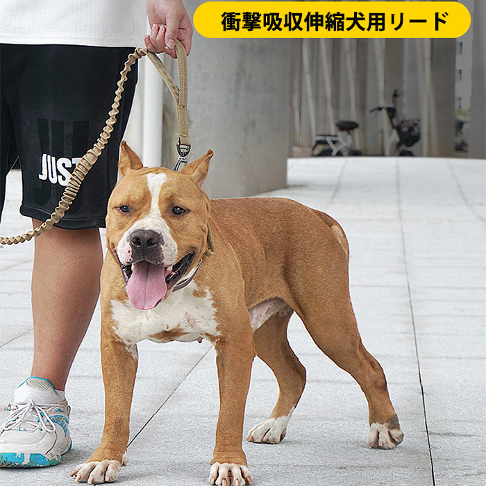 Case コレ!の犬用リード 伸縮性 中型犬 大型犬 丈夫 散歩 おでかけ ペットグッズ 車載 反射素材 ロープ 犬用品 ダブルハンドル バンジーリード｜アングル2