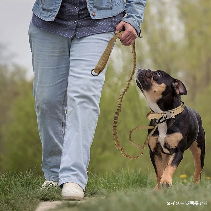 Collars, Harnesses, Leashes - 犬用リード 伸縮性 中型犬 大型犬 丈夫 散歩 おでかけ ペットグッズ 車載 反射素材 ロープ 犬用品 ダブルハンドル バンジーリード