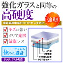 ＼30日はポイント最大5倍／ タカラトミー ジュラシック・ワールド 恐竜マウスでスタディパソコン [ 画面用 ふち用 ] 保護 フィルム 強化ガラス と 同等の 高硬度9H メール便送料無料 2