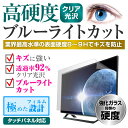 ＼5日はポイント最大5倍／ WIS AS-03D2402TV [24インチ] 保護 フィルム カバー シート 強化ガラス同等の硬度9H ブルーライトカット クリア 光沢 液晶保護フィルム メール便送料無料 2