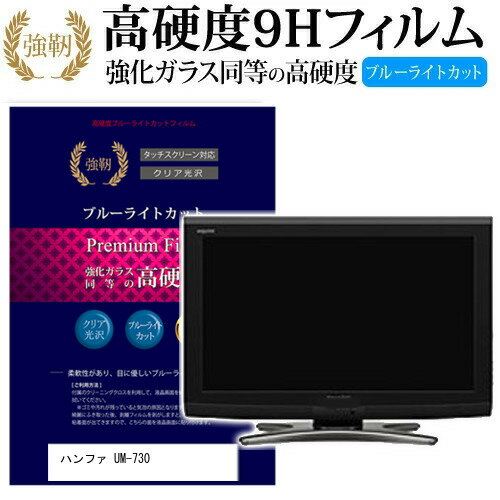 ハンファ UM-730 [7インチ] 機種で使える 強化 ガラスフィルム と 同等の 高硬度9H ブルーライトカット 光沢タイプ 改訂版 液晶保護フィルム メール便送料無料