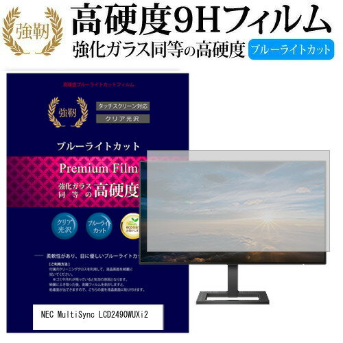 NEC MultiSync LCD2490WUXi2 [24.1インチ] 機