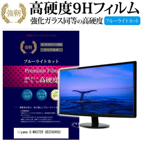 ＼20日はポイント最大5倍!!／ iiyama G-MASTER GB2560HSU [24.5インチ] 機種で使える 強化 ガラスフィルム と 同等の 高硬度9H ブルーライトカット 光沢タイプ 改訂版 液晶保護フィルム メール便送料無料