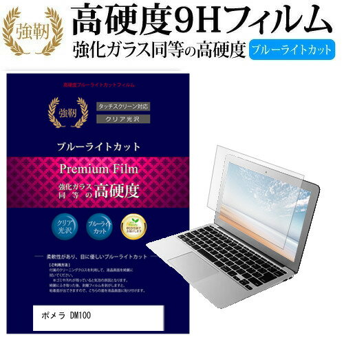 ポメラ DM100 5.7インチ 機種で使える 強化 ガラスフィルム と 同等の 高硬度9H ブルーライトカット 光沢タイプ 改訂版 液晶保護フィルム メール便送料無料