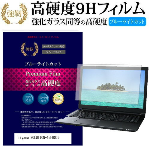 iiyama SOLUTION-15FH039 [15.6インチ] 機種で使える 強化 ガラスフィルム と 同等の 高硬度9H ブルーライトカット 光沢タイプ 改訂版 液晶保護フィルム メール便送料無料 jgs bgt
