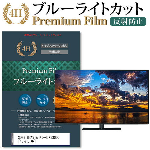 ＼15日はポイント10倍 ／ SONY BRAVIA KJ-43X8300D 43インチ 機種で使える ブルーライトカット 液晶TV 保護フィルム メール便送料無料