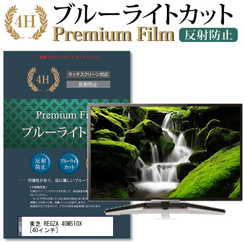 ＼20日はポイント最大5倍 ／ 東芝 REGZA 40M510X 40インチ 機種で使える ブルーライトカット 液晶TV 保護フィルム メール便送料無料