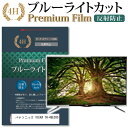 \スーパーSALE★10日限定最大P8倍!!/ パナソニック VIERA TH-49E300 機種で使える ブルーライトカット 指紋防止 液晶保護フィルム メー...