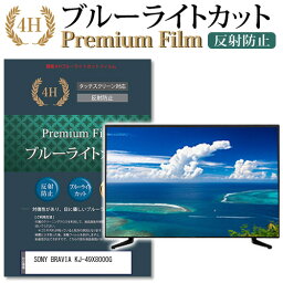 SONY BRAVIA KJ-49X8000G 機種で使える ブルーライトカット 指紋防止 液晶保護フィルム メール便送料無料